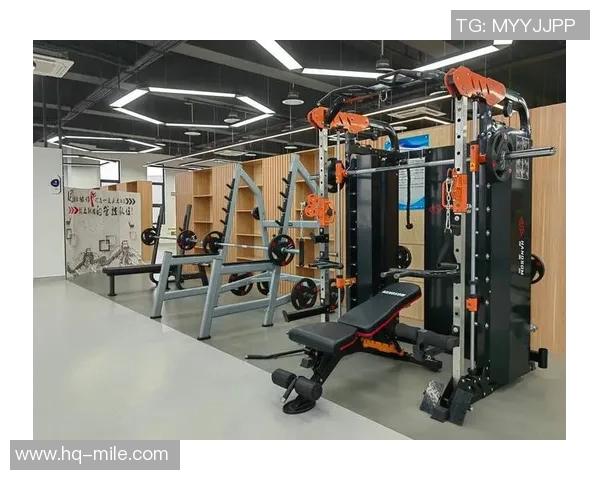 全面探索健身器材CAD图库资源助力健身房设计与设备选购指南